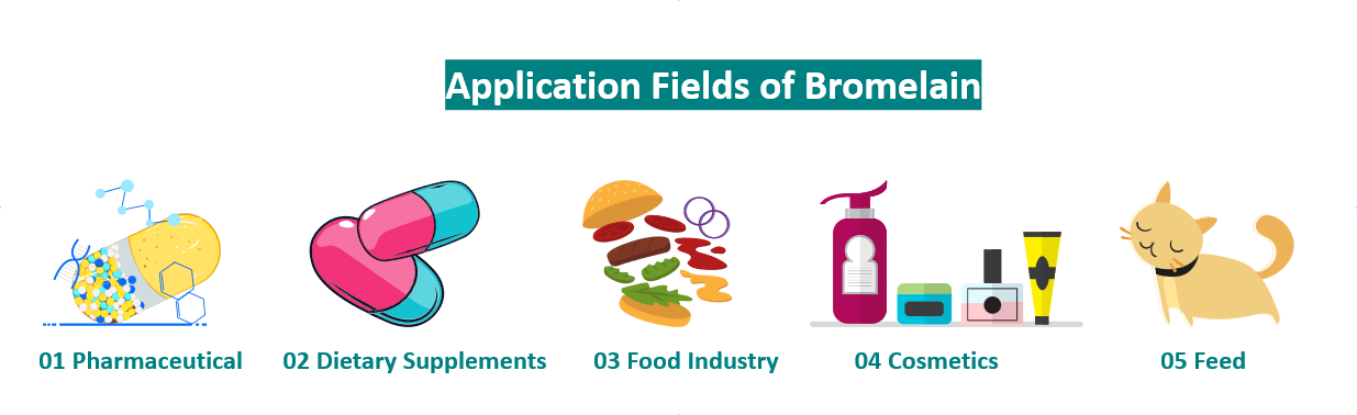 菠萝蛋白酶的应用.png